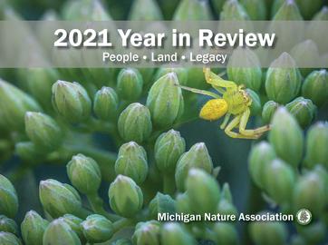 2021 Year in Review Now Available